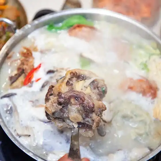 생생정보 수원 만두전골 정초손만두 메뉴&middot;가격&middot;맛 총정리