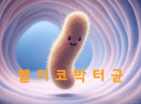 단순 속쓰림? 헬리코박터균이 의외의 범인