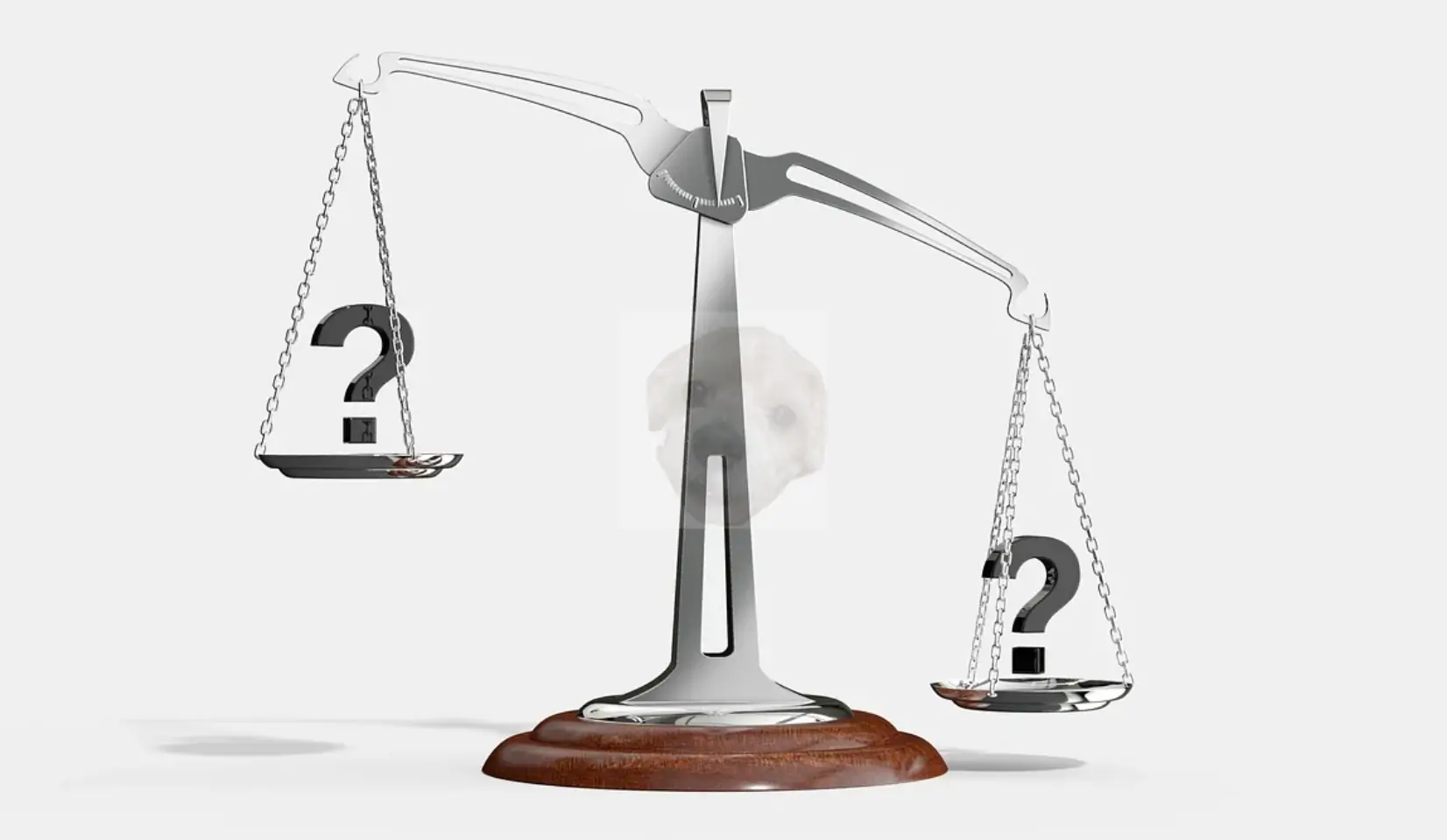 리밸런싱 관련 저울 사진