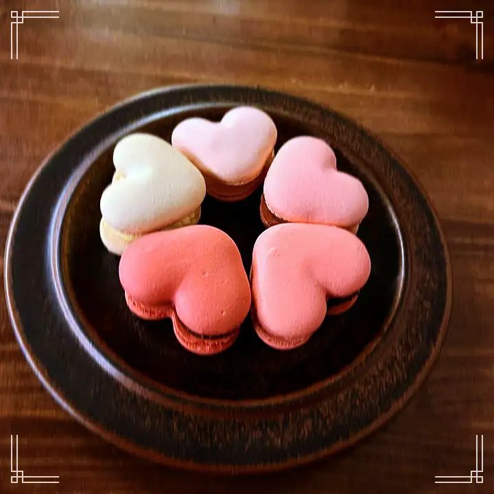 진심 가득 건강 담은 맛 남산 명동 맛집 추천 생방송투데이 커피 티라미수 마카롱 치즈케이크 디저트 오늘방송 떴다 동네방네