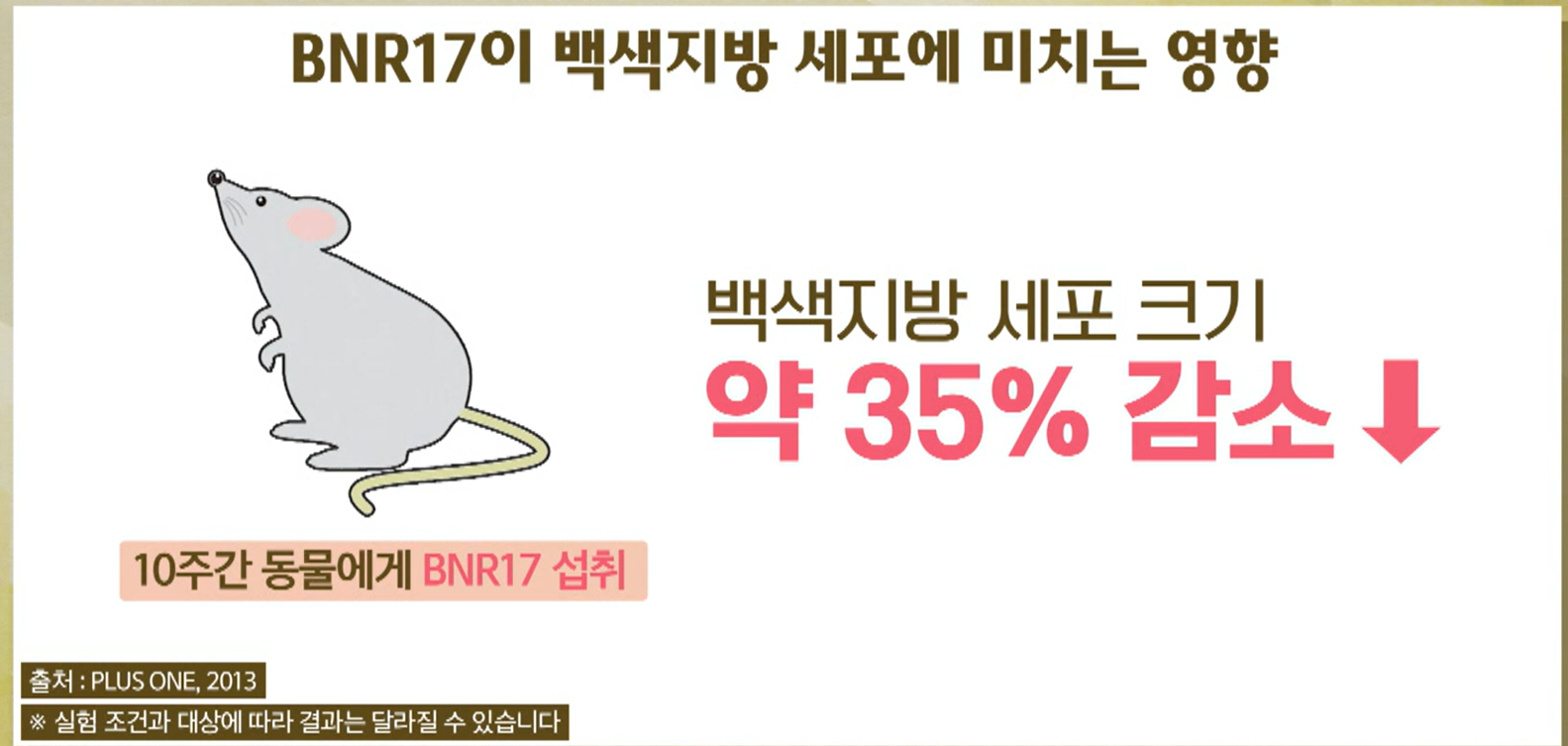 BNR17유산균 효능