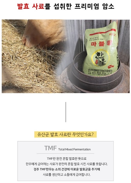 발효사료-경주한우