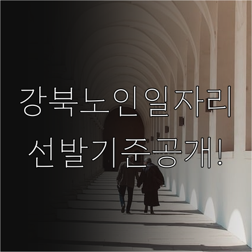 강북구 시니어클럽 노인일자리 유형별 ..