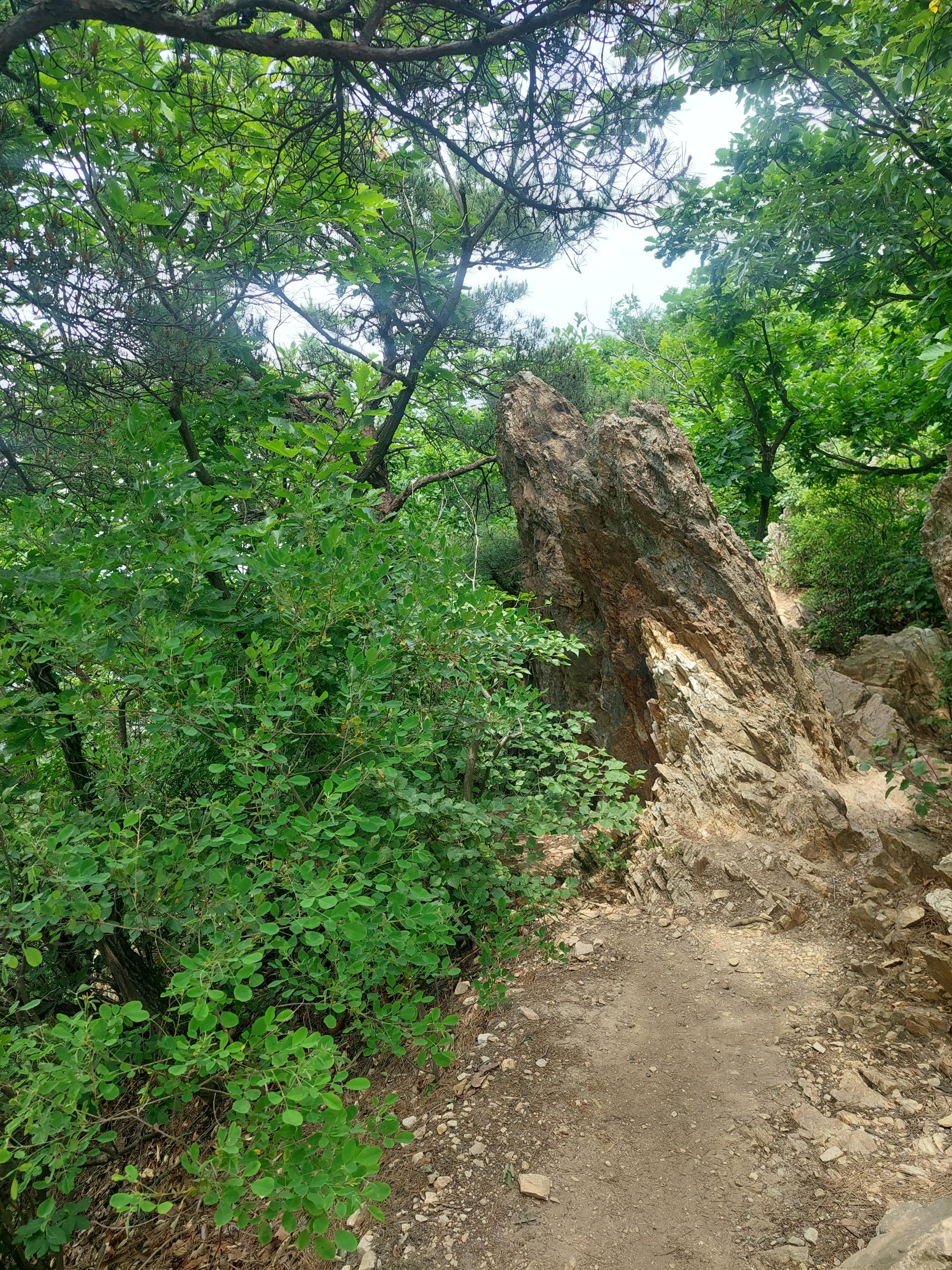 수리산