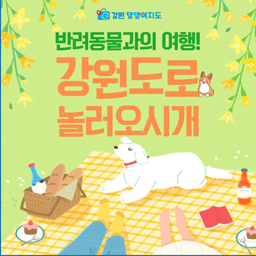 강릉여행 (반려견 여행)