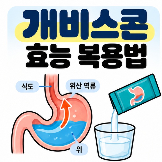 개비스콘 효능 복용법 문구와 위, 식도, 현탁액 포장 아이콘을 보여주는 대표 카드