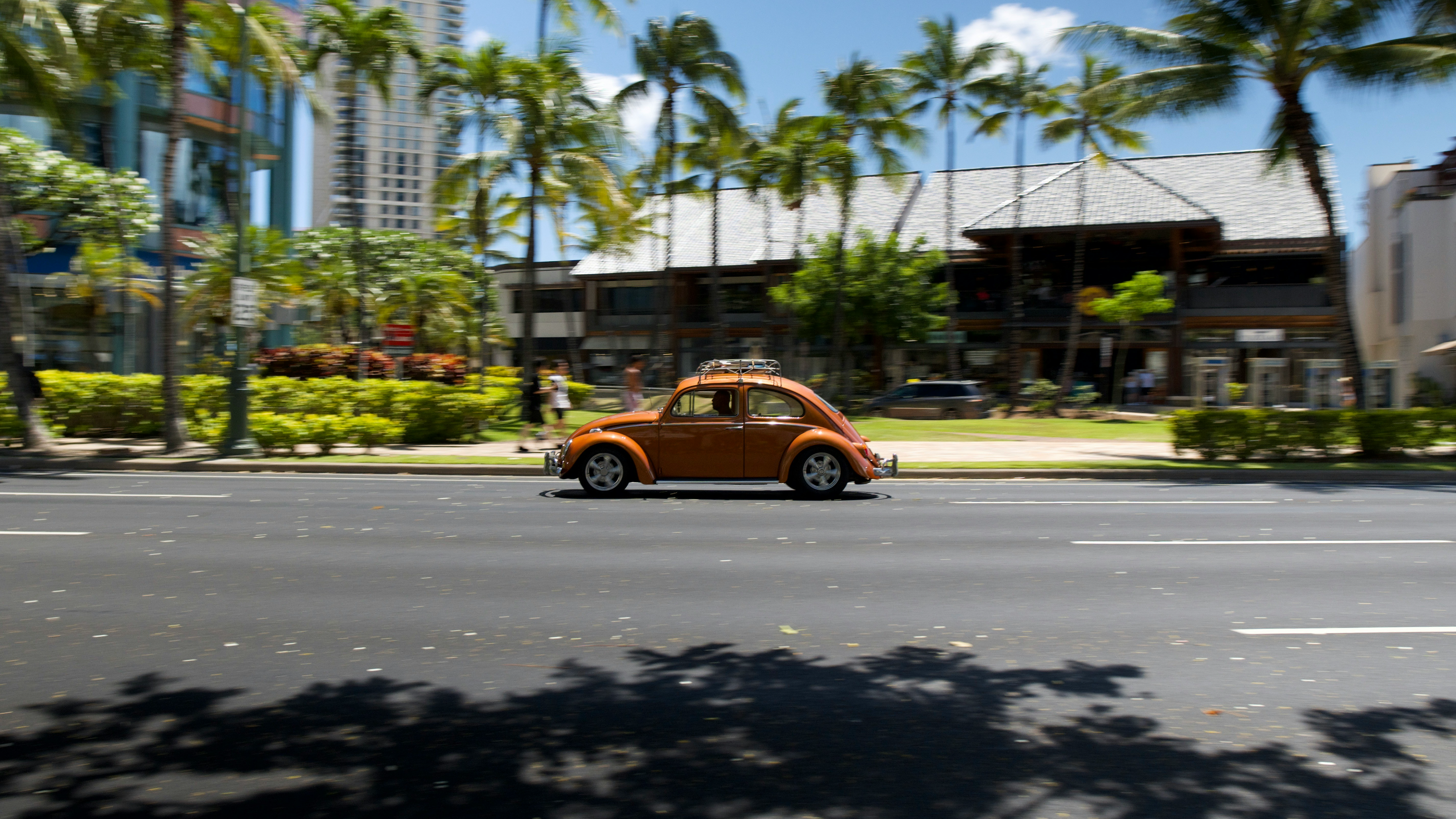 하와이 1인 생활비