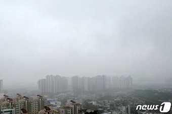 안개 주의 가시거리 운전 속도 헤드라이트 사용법_2