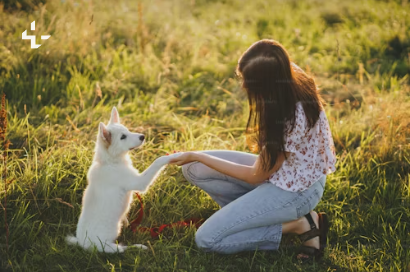 반려동물 등록 비용과 방법 총정리