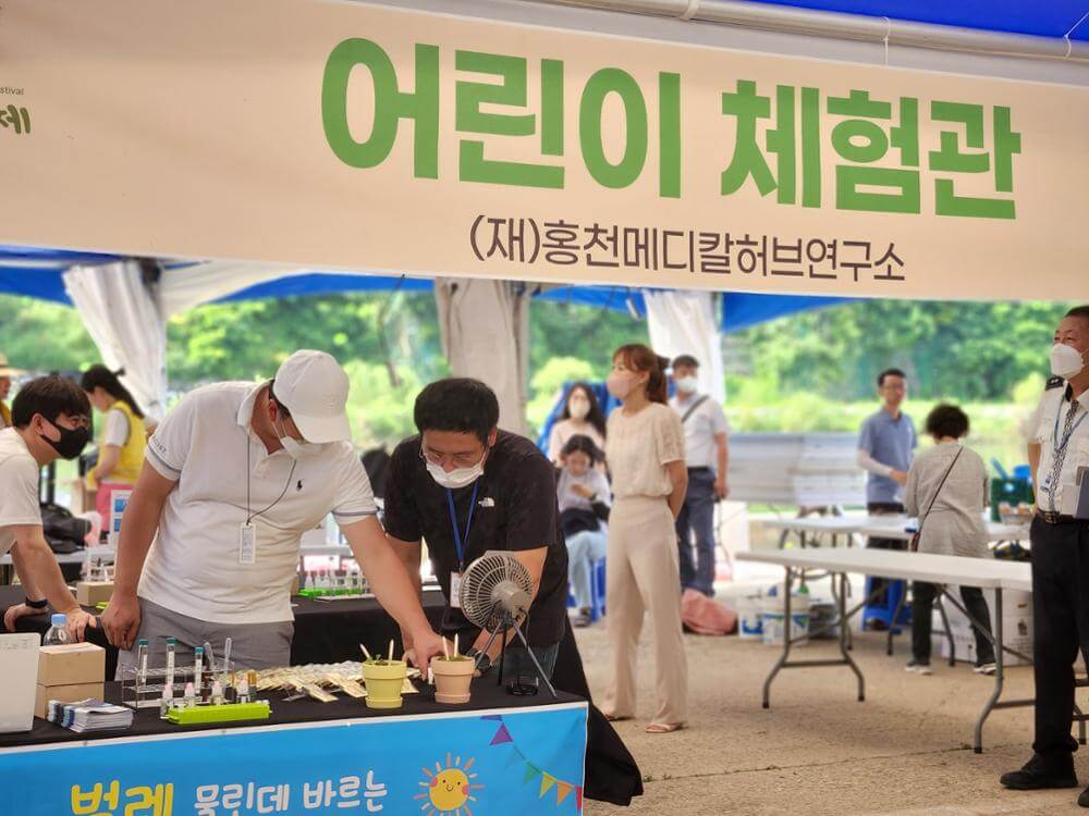 홍천 찰옥수수 축제 2026