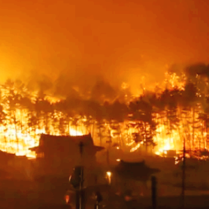 국내 산불 관련주 대장주 수혜주 TOP5