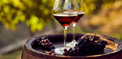 이탈리아 미식 여행 가이드 와인