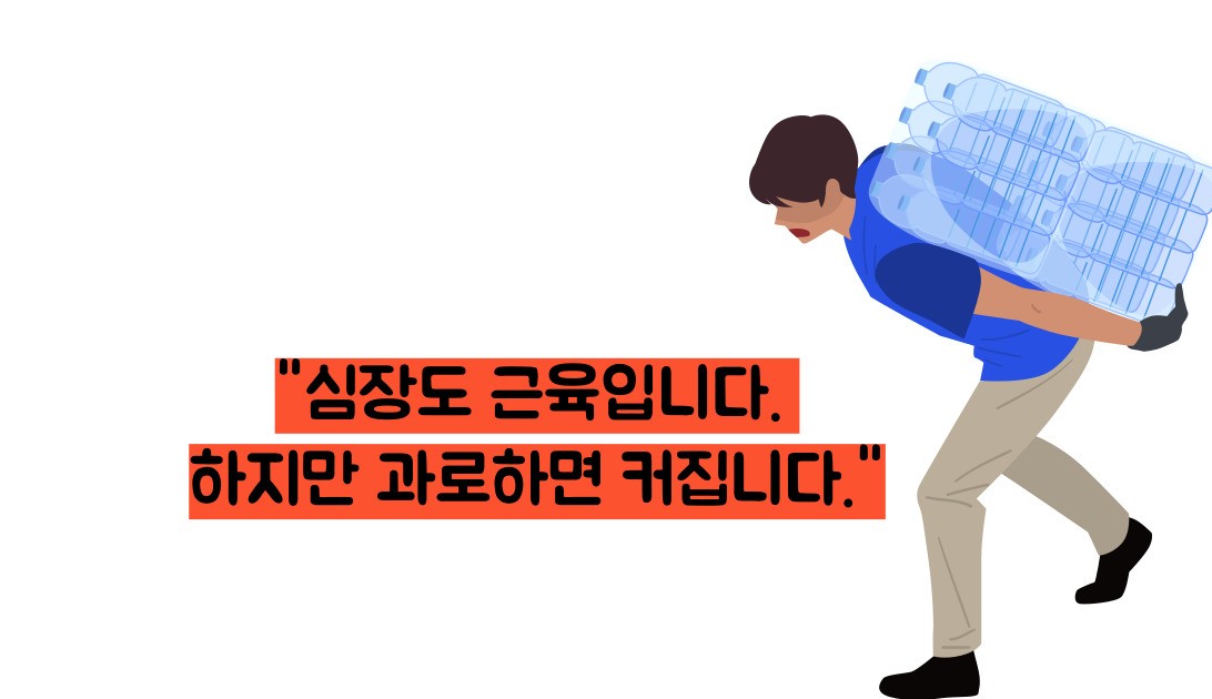 심장 비대증 원인과 치료