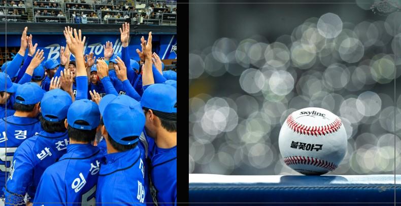 불꽃야구 부산 사직&middot;서울 고척 직관 경기 예매 꿀팁 총정리