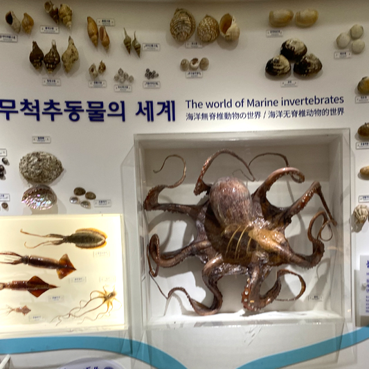 자연사박물관