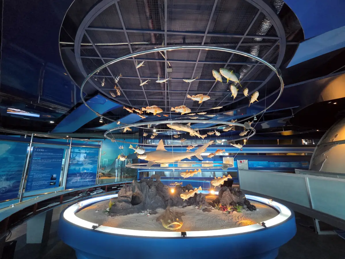 어류 전시 02