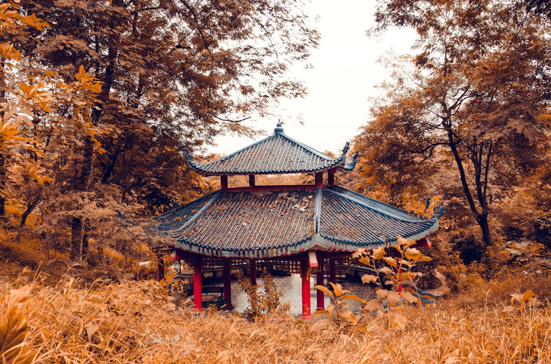 Yangjaecheon
