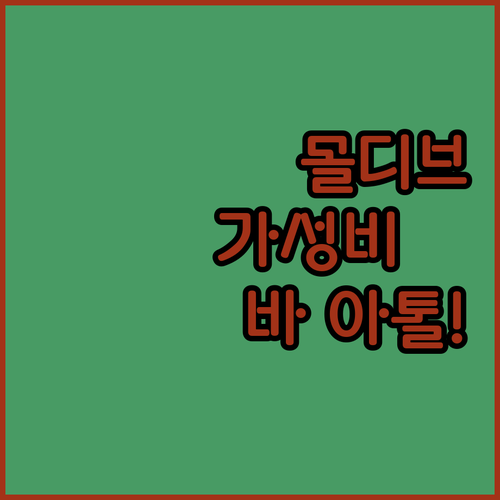 몰디브 가성비 여행 바 아톨 로컬 게..