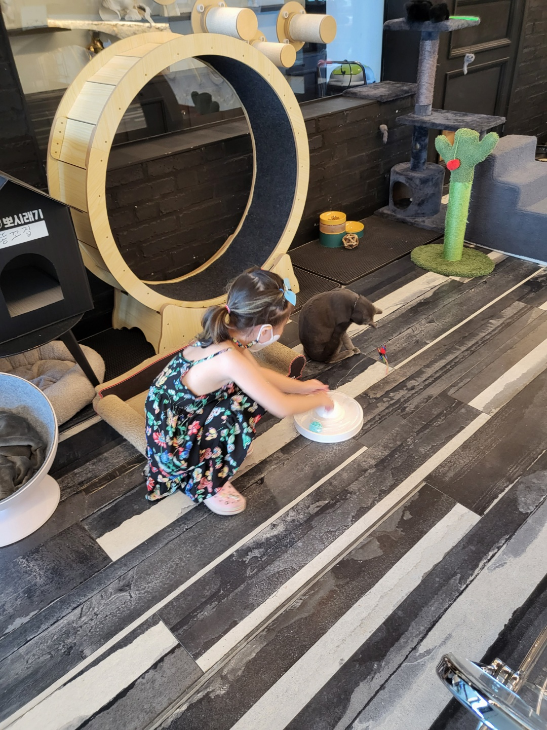 베로니 카페(청주)