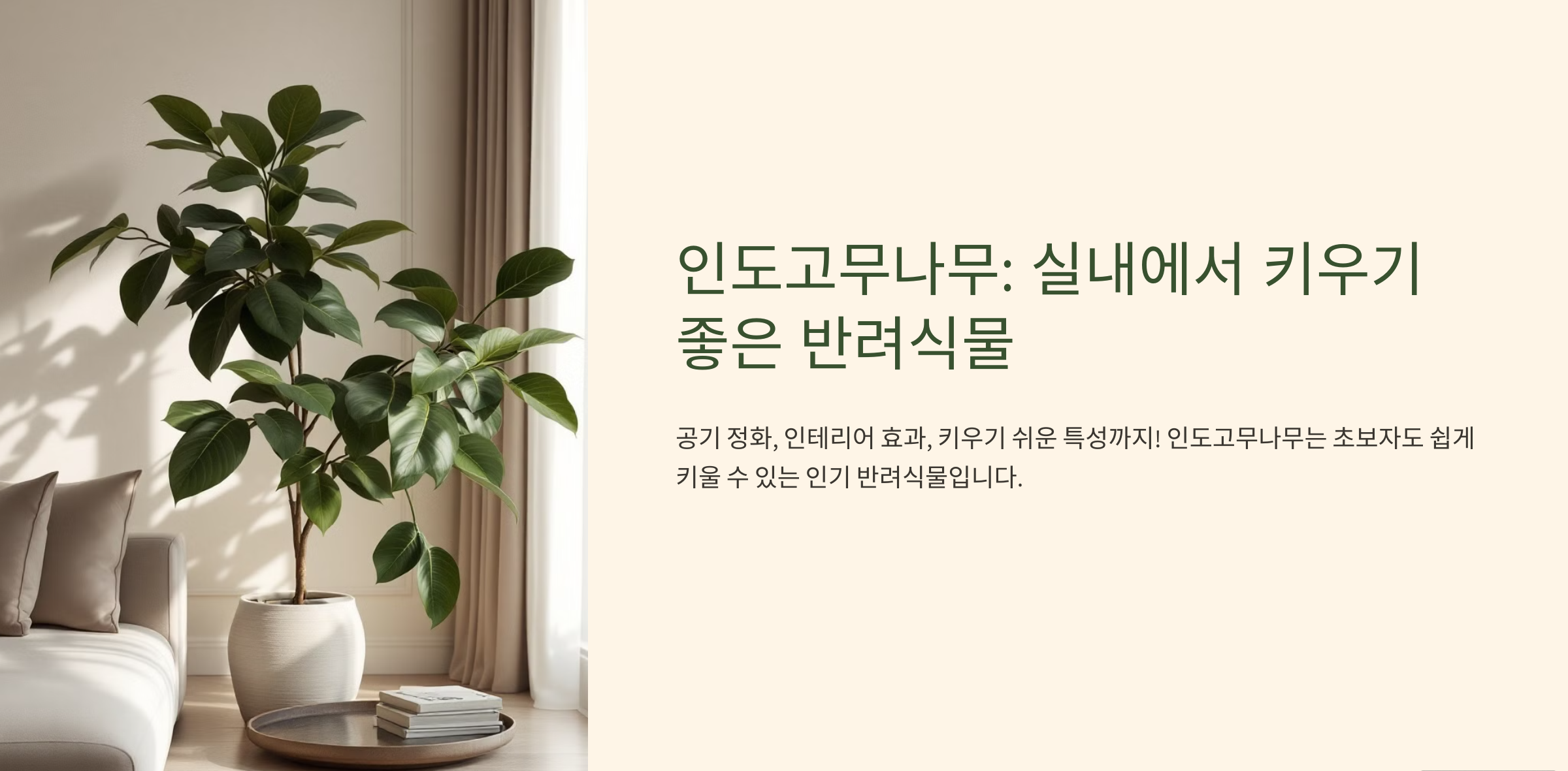 인도고무나무 사진