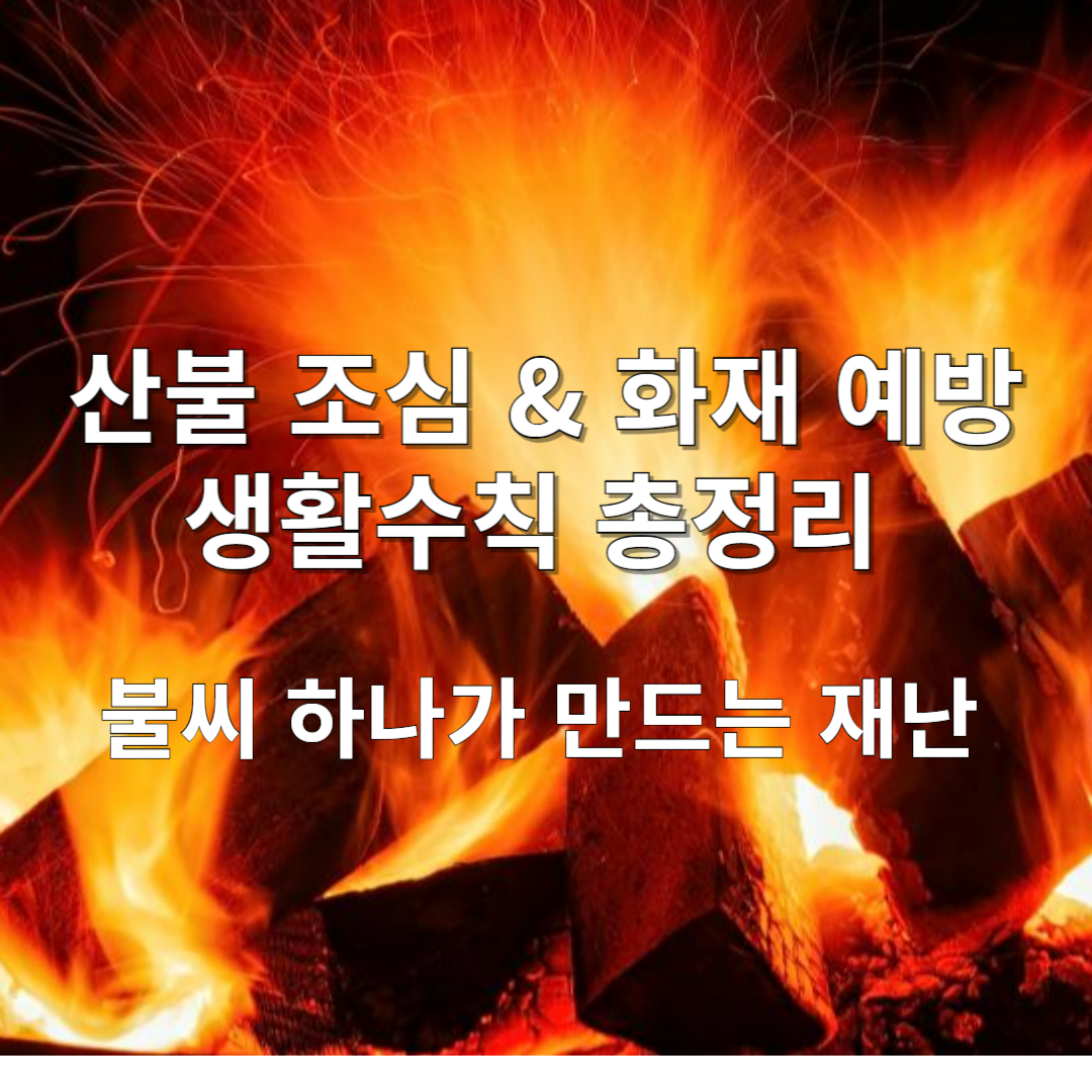 불씨 하나가 만드는 재난