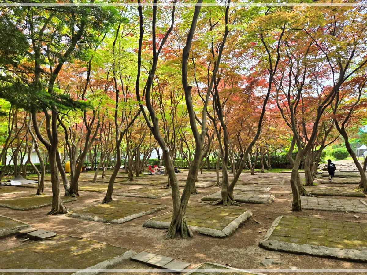 경기도-광주-금원수목원-나무밑-자리