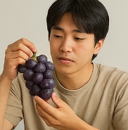 포도 효능