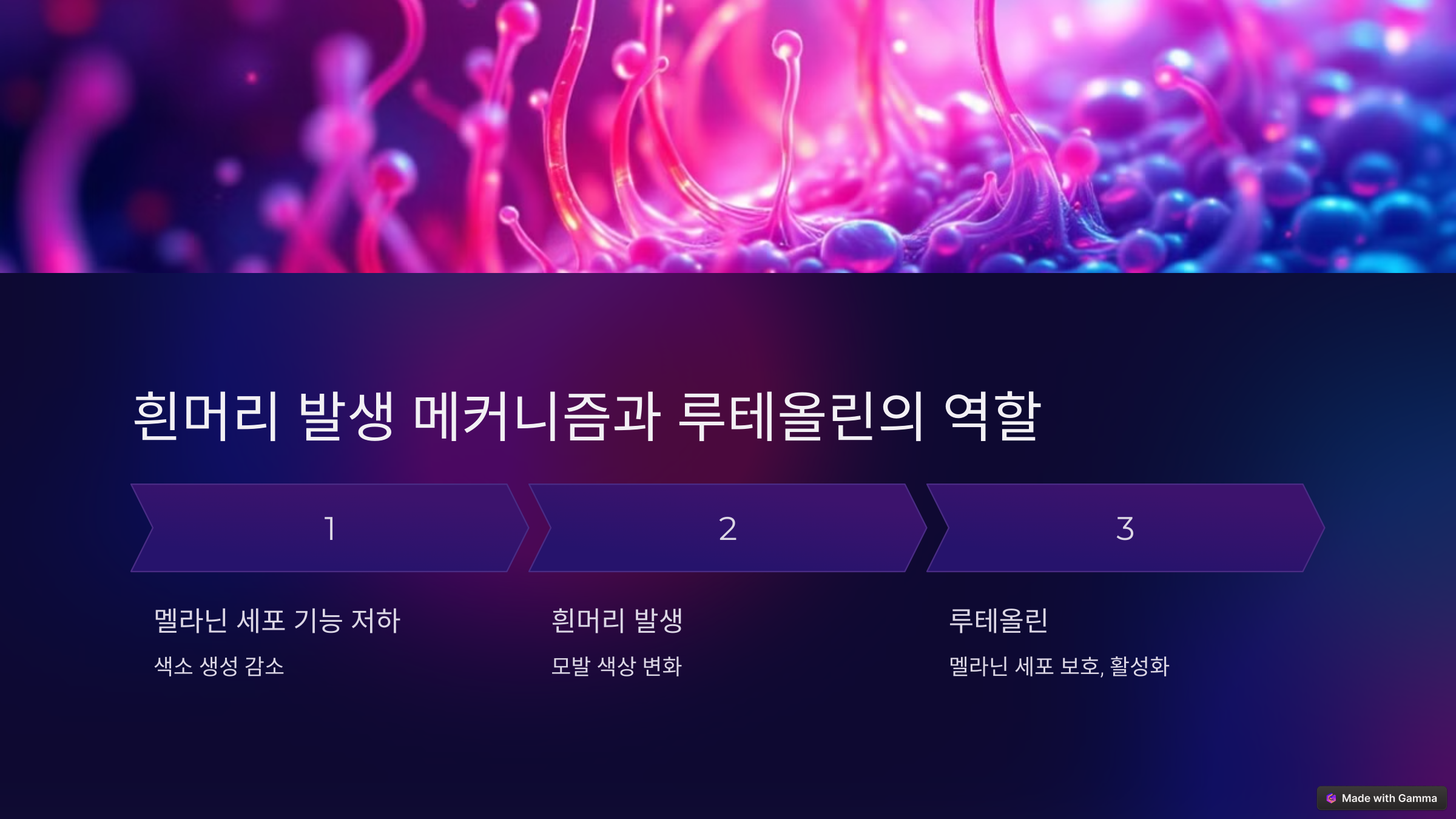 흰머리-발생-메커니즘과-루테올린의-역할