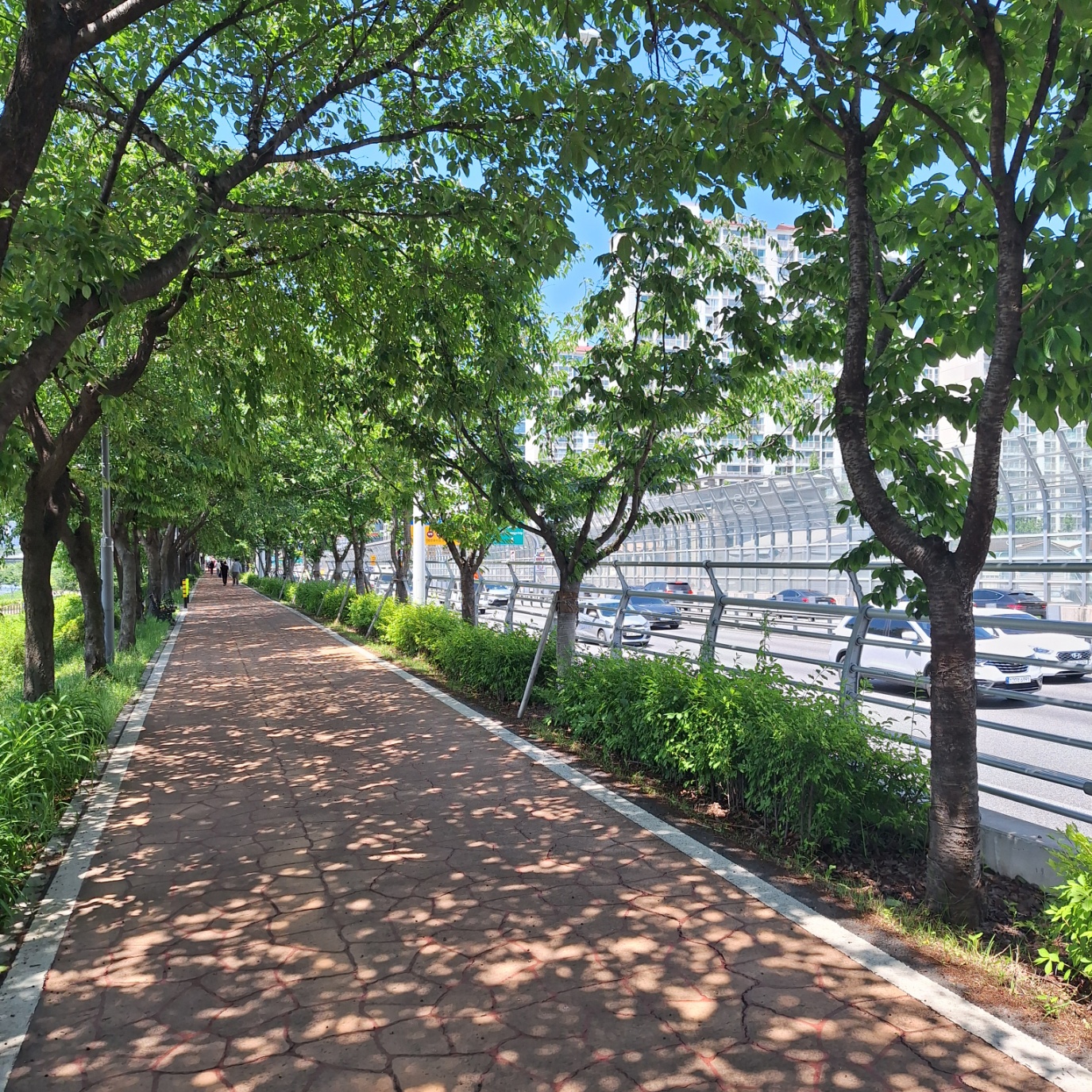 서울 둘레길 13코스 참여 후기