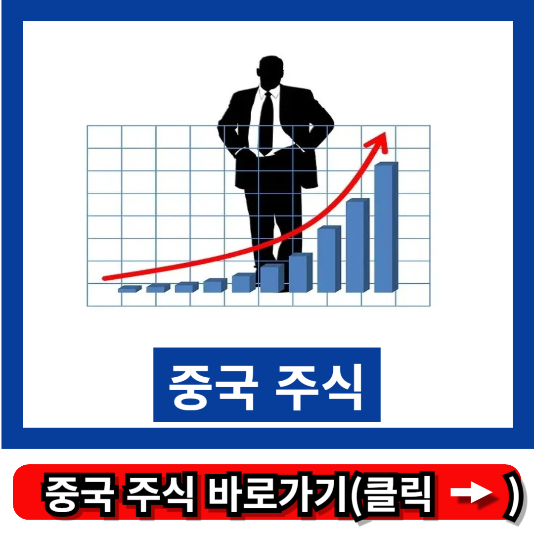 중국 주식