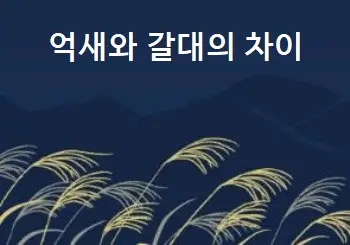 억새와 갈대의 차이