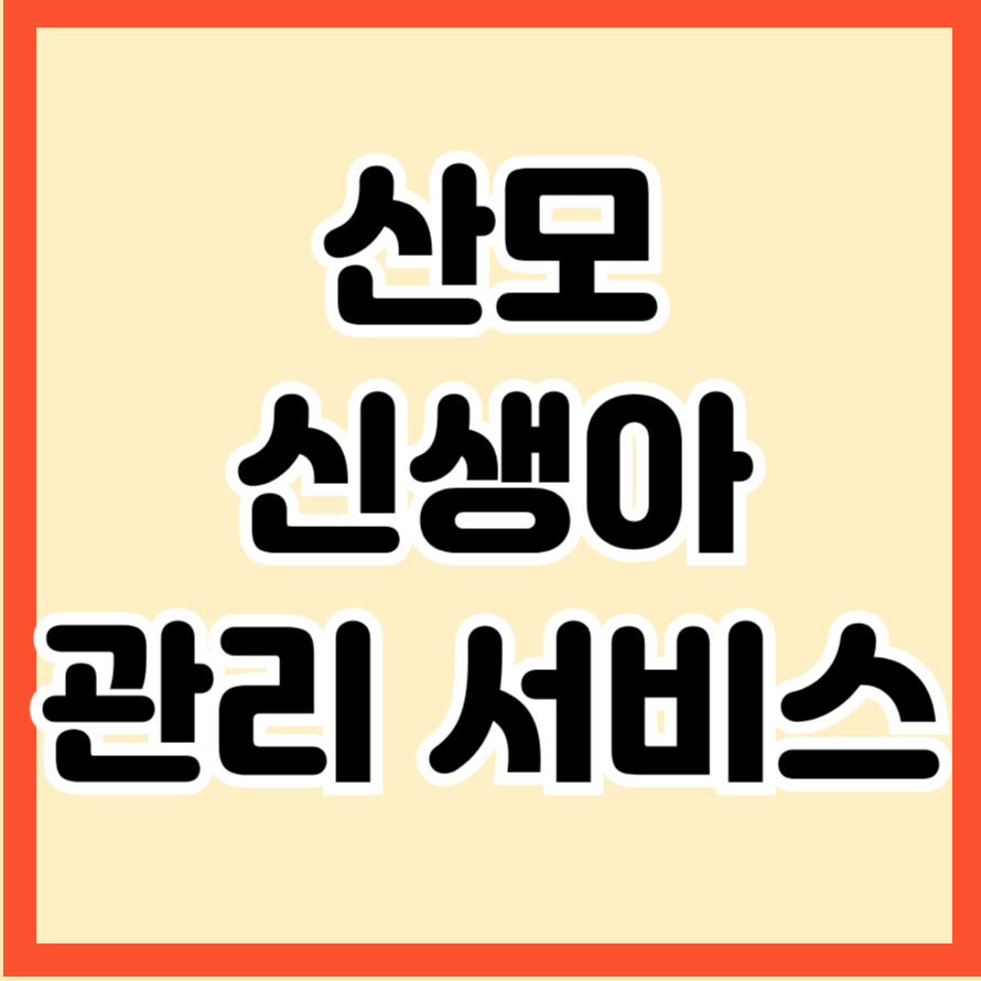 산모&middot;신생아 건강관리 서비스 놓치면 안될 지원 혜택 총정리