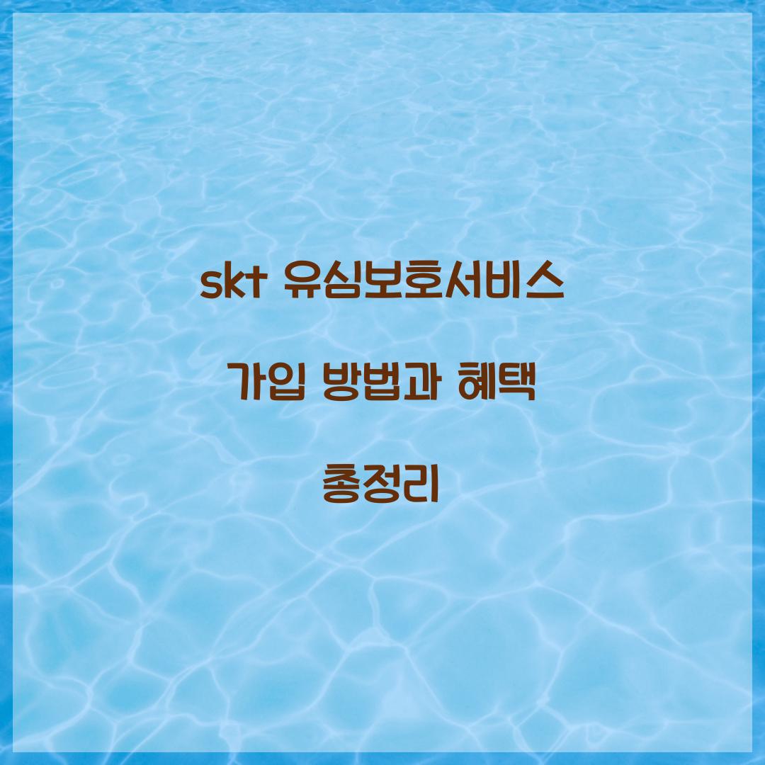 skt 유심보호서비스 가입