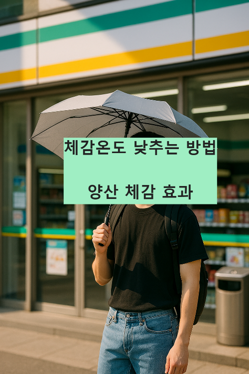 Alt 속성 문제 해결 설명 이미지