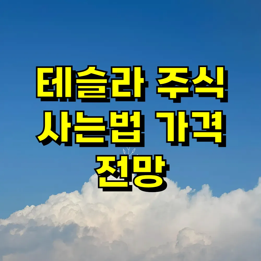 테슬라 주식 사는법 가격 전망