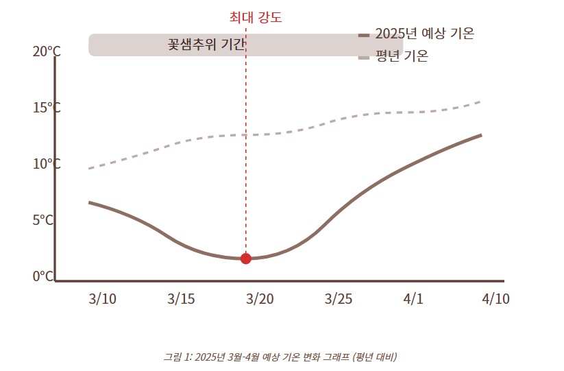 2025년 꽃샘추위