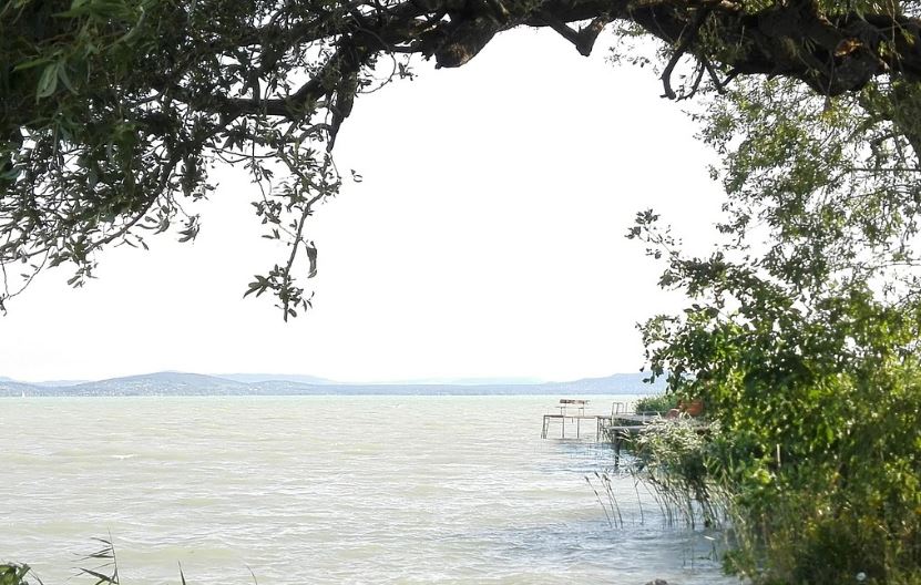 마음 챙김과 스트레스 관리