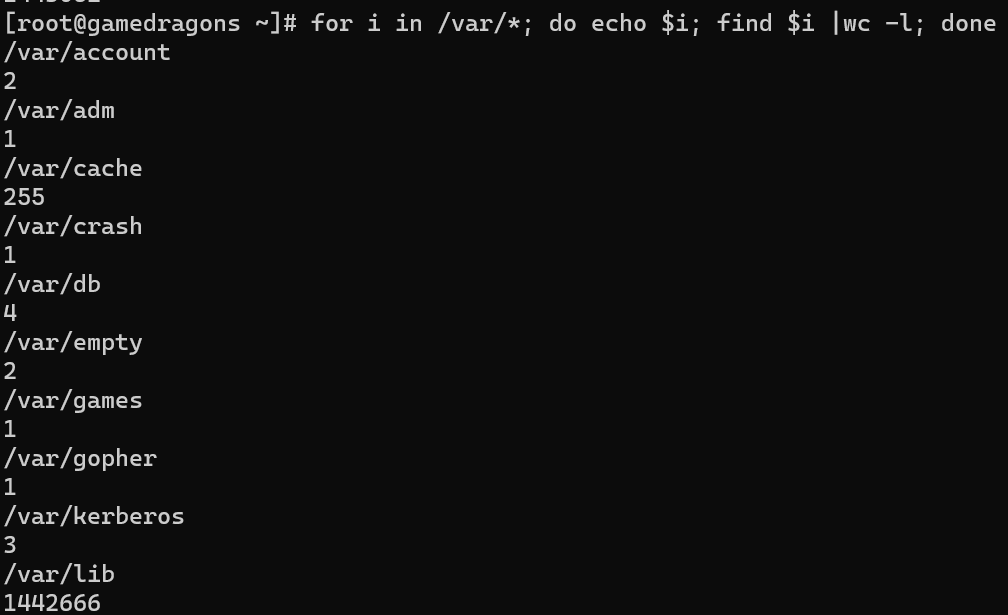 for loop를 통한 실행 결과 확인