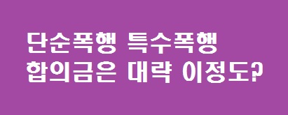 특수폭행 합의금