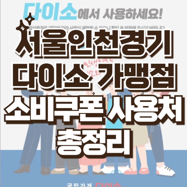 서울인천경기 다이소 가맹점 소비쿠폰