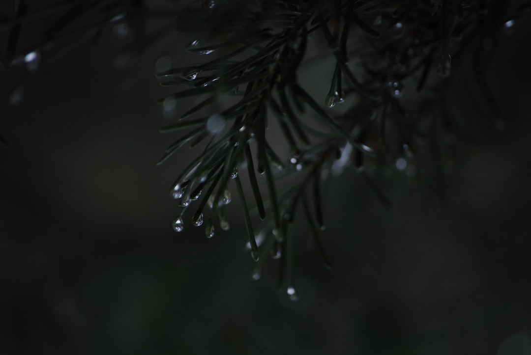 Moisture