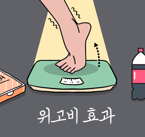 위고비 효과