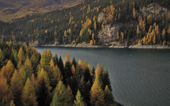 요양보호사 자격증 취득방법 14