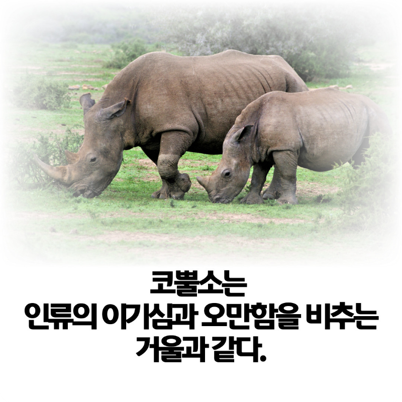 코뿔소의-날-인간성-회복의-서막