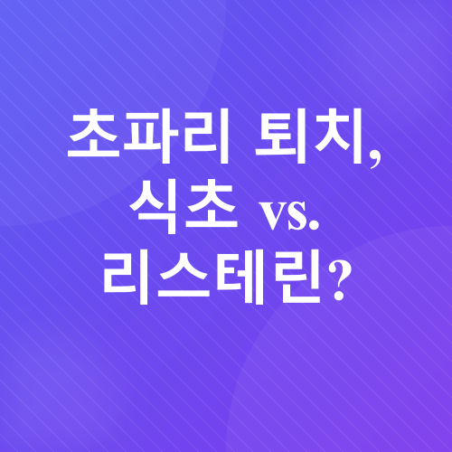 초파리퇴치_2