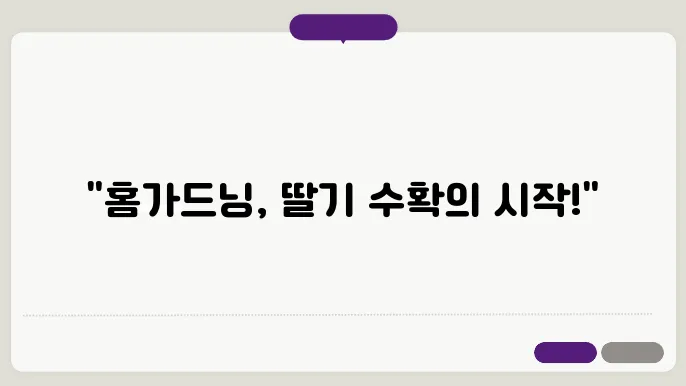 집에서 계샿 키우우 땀?