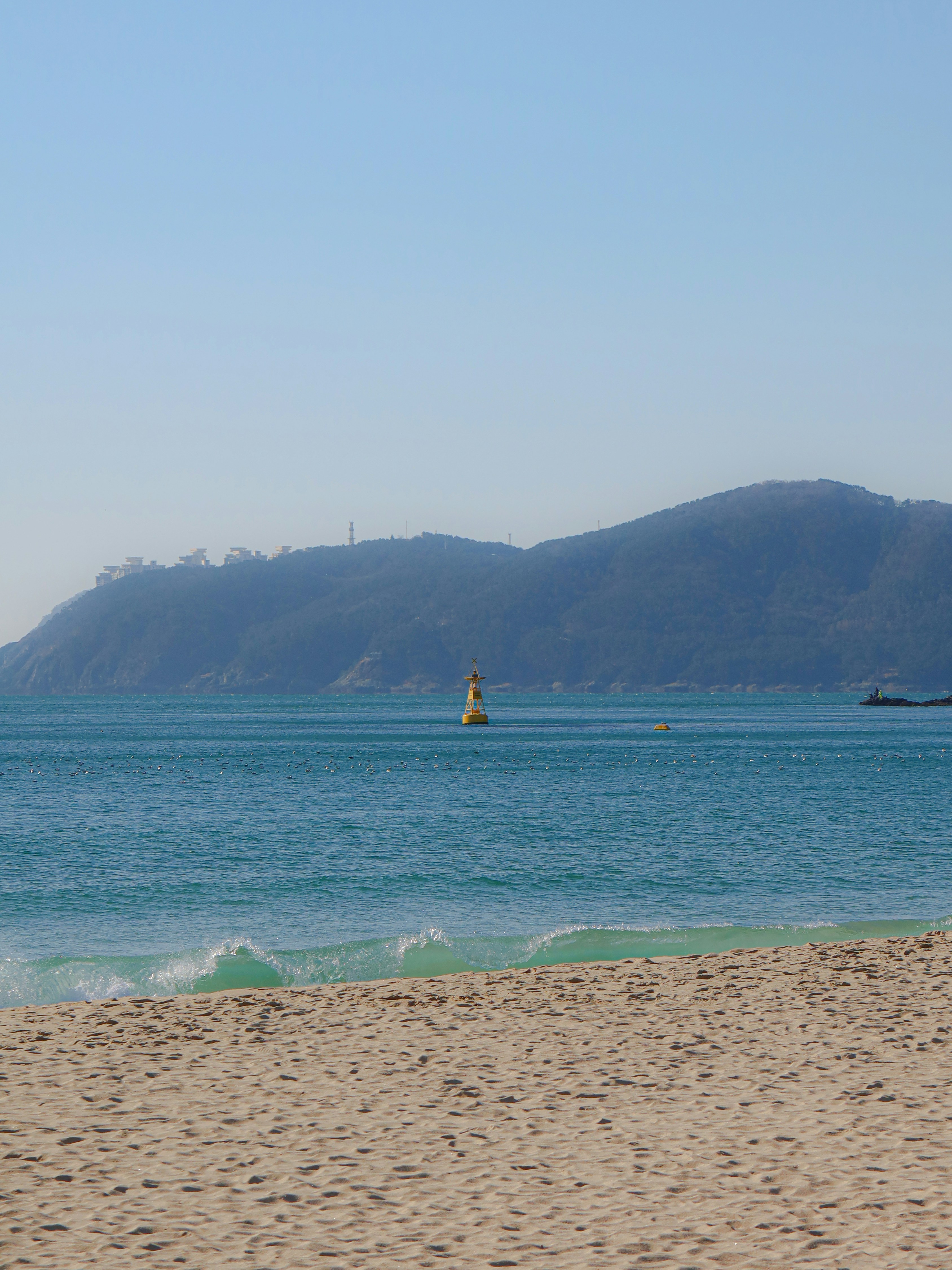 제주도 동쪽 여행지