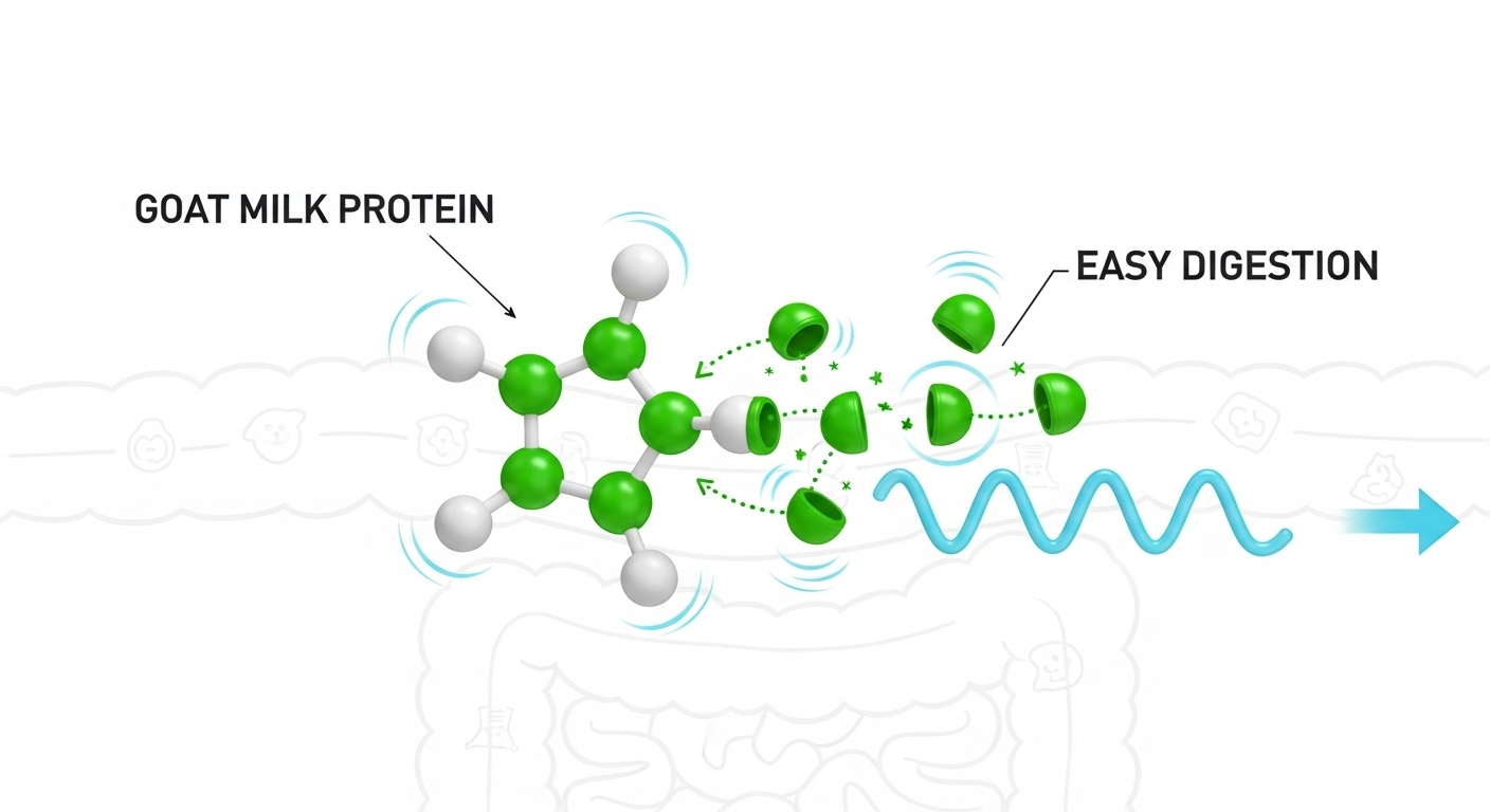 산양유단백질효능