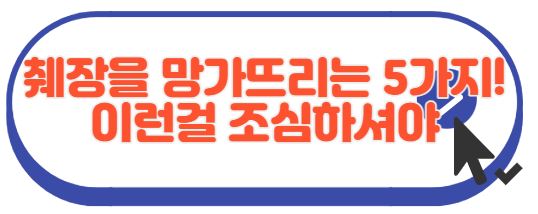 췌장을 망치는 음식