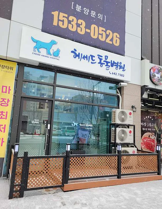 헤세드동물병원